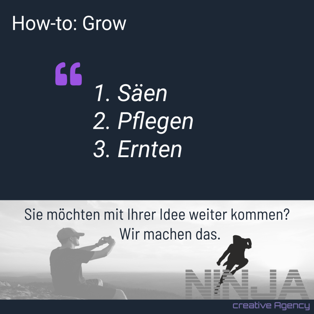 Marketing Agentur How to grow 2